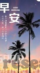 世界杯 放假 天-世界杯、放假与天的奇妙邂逅